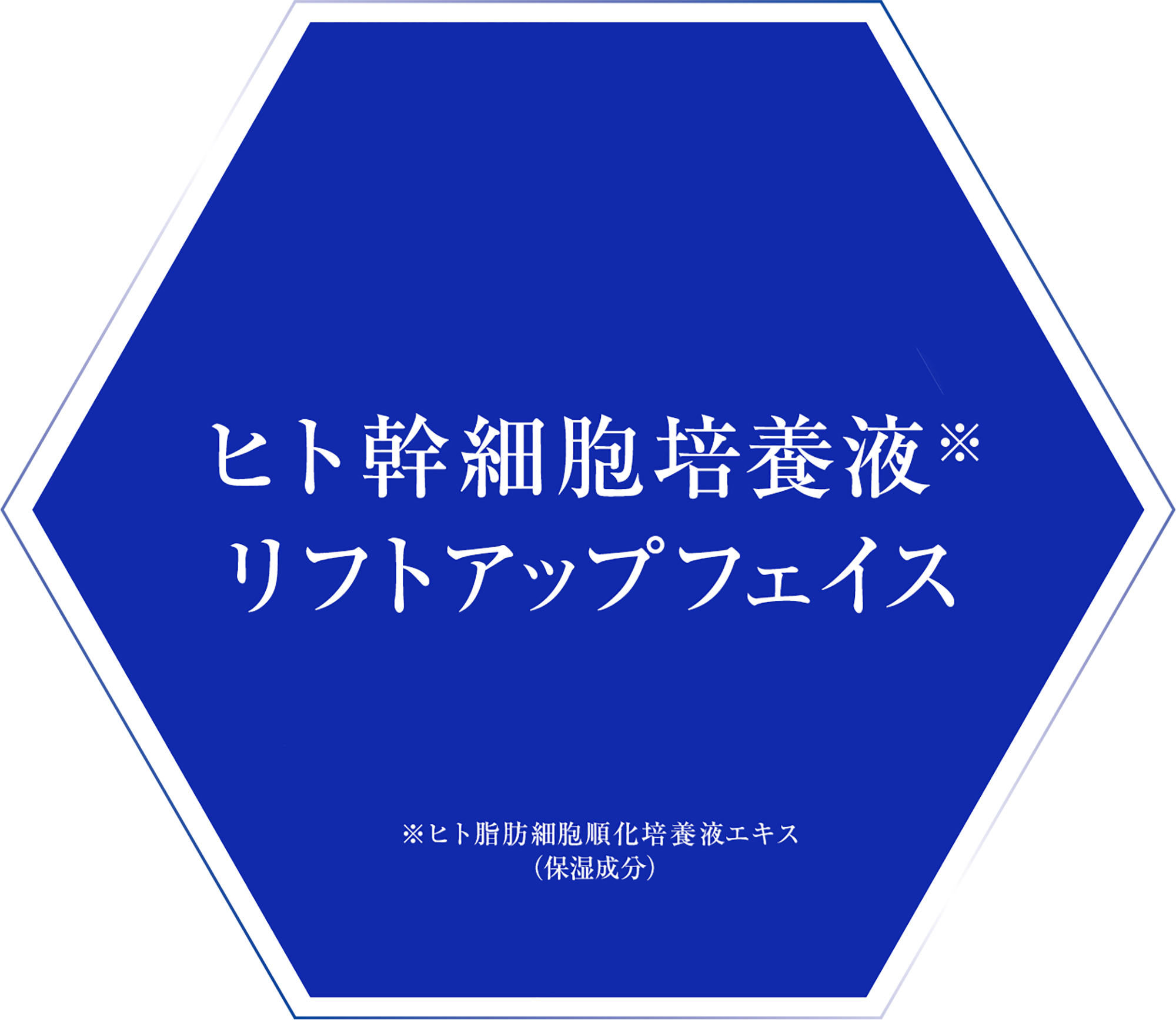 エステ01